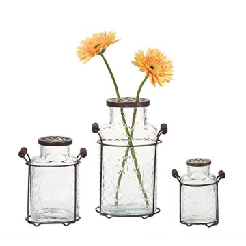 Creative Co-Op Glass Vase with Metal Frog Lid