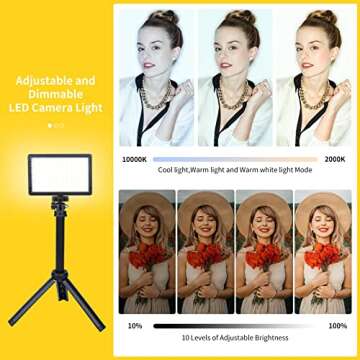 LED Video Light Kit for Camera,Dimmable 10000K 2-Pack Photography Lighting with Adjustable Tripod St...
