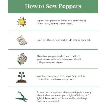 Burpee Carnival Mix Hybrid (Organic) Sweet Pepper Seeds - 100 Certified Organic Seeds
