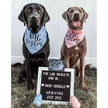 Black Felt Letter Board Baby Announcement Sign with Rustic Wood White Frame - Rustic Farmhouse Letter Board Sign with Stand - 10x10 Felt Board Changeable Message Board with 350 Letter Set