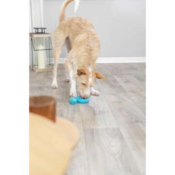 Trixie Snack Coiled Snake Dog Puzzle Toy for Dogs, Dog Enrichment Toy, Interactive Chew Toy, Treat Dispenser, 7" (18cm)