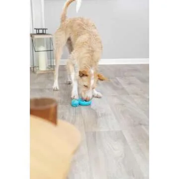 Trixie Snack Coiled Snake Dog Puzzle Toy for Dogs, Dog Enrichment Toy, Interactive Chew Toy, Treat Dispenser, 7" (18cm)