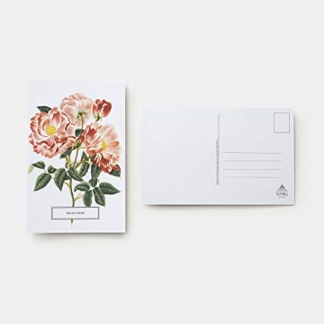 Roses: 100 Vintage Postcards from The NY Botanical Garden