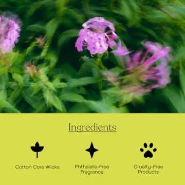 Anecdote High Society Candle | Premium & Hand Poured