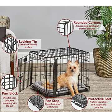 MidWest Homes for Pets Small Dog Crate, Life Stages 24' Double Door Folding Metal Dog Crate | Divide...