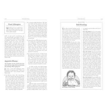 What to Expect the Second Year Parenting Guide