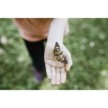 Educational Butterfly Kit with Live Caterpillars