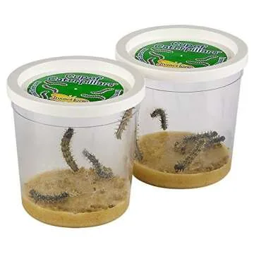 Educational Butterfly Kit with Live Caterpillars