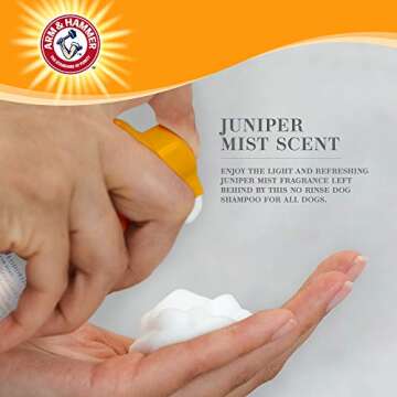 Arm & Hammer for Pets Ultra Fresh Dog Deodorizing Foam, Juniper Mist Scent - No Rinse Waterless Dog Shampoo for Smelly Dogs, Pet Deodorizer, Bathing Supplies, 8 Fl Oz