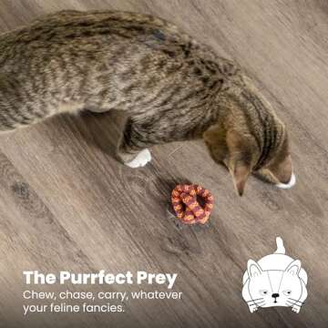 Catstages Catnip Plaque Away Pretzel Dental Chew Toy