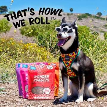 Polkadog Sweet Potato & Beef Wonder Nuggets Dog Treats – All-Natural Pet Training Treats for Dogs – Healthy, Handmade Puppy Snacks – Bite-Sized, Soft, Chewy Treats for Pets – 10 oz