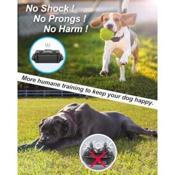 No Shock Dog Training Collar with Remote, Dog Vibration Collar with Controller Beep and Vibrate Only...