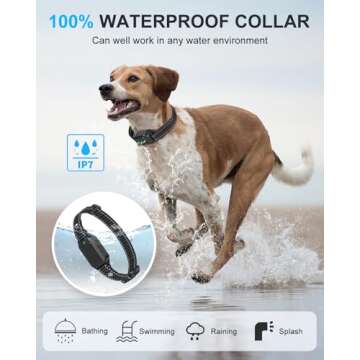 No Shock Dog Training Collar with Remote, Dog Vibration Collar with Controller Beep and Vibrate Only, Safe Lock Waterproof Rechargeable Vibrating Collars for Dogs(10-120 lbs)-No Prongs (Black)