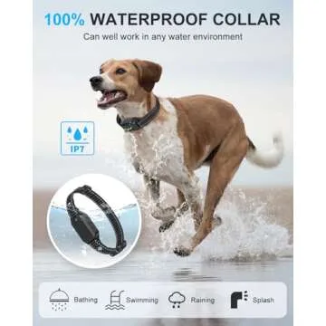 No Shock Dog Training Collar with Remote, Dog Vibration Collar with Controller Beep and Vibrate Only, Safe Lock Waterproof Rechargeable Vibrating Collars for Dogs(10-120 lbs)-No Prongs (Black)