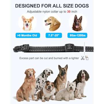 No Shock Dog Training Collar with Remote, Dog Vibration Collar with Controller Beep and Vibrate Only, Safe Lock Waterproof Rechargeable Vibrating Collars for Dogs(10-120 lbs)-No Prongs (Black)