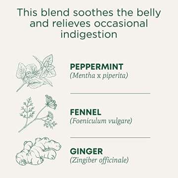 Traditional Medicinals Tea, Organic Belly Comfort Peppermint, Promotes Healthy Digestion, 16 Tea Bags