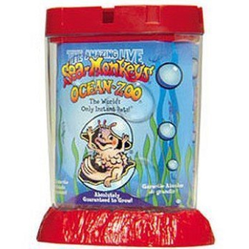 Schylling Sea Monkeys Ocean Zoo Fun Starter Kit for Everyone