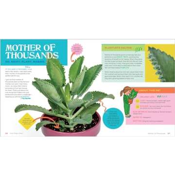 Plant Pets Guide: 27 Cool Houseplants to Love