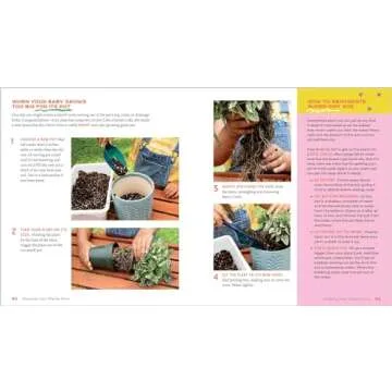 Plant Pets Guide: 27 Cool Houseplants to Love