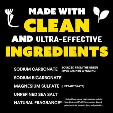 Molly's Suds Original Laundry Detergent for Sensitive Skin