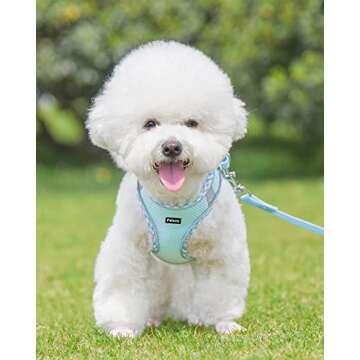 Petank Dog Harness for Small Medium Dogs No Pull, Puppy Harness and Leash Set, Easy Walk Dog Harness...