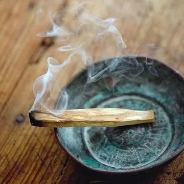 Palo Santo Sticks - Sustainably Harvested Aroma for Calm