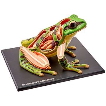 4D Vision Frog Anatomy Model