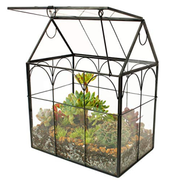 ELEGANTLIFE Glass Terrarium: Unique Home Decor for Plants
