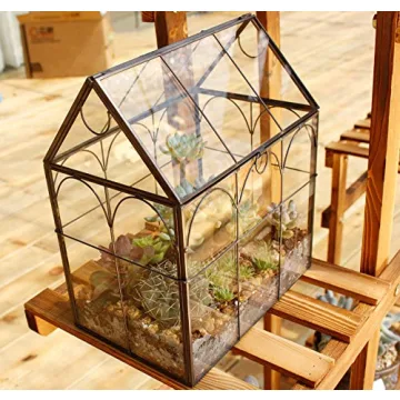 ELEGANTLIFE Geometric Glass Plant Terrarium for Succulents
