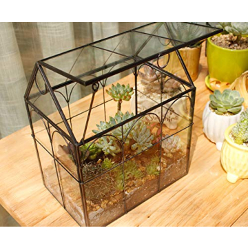ELEGANTLIFE Geometric Glass Plant Terrarium for Succulents