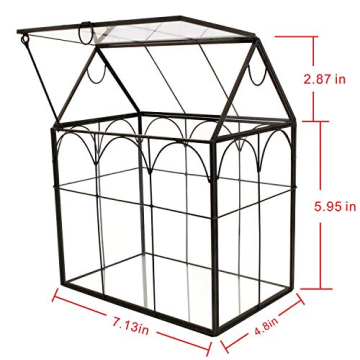 ELEGANTLIFE Geometric Glass Plant Terrarium for Succulents