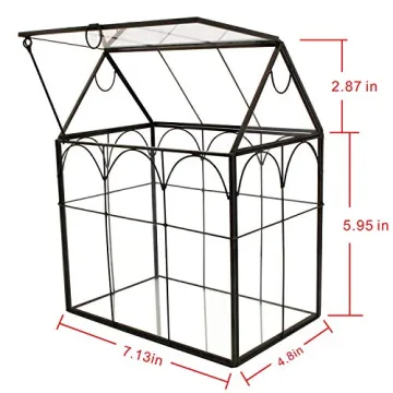 ELEGANTLIFE Geometric Glass Plant Terrarium for Succulents