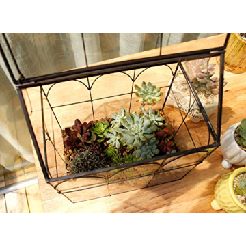 ELEGANTLIFE Geometric Glass Plant Terrarium for Succulents