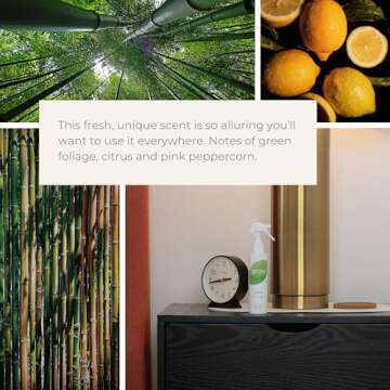 Grow Fragrance Bamboo Air Freshener Spray - Eco-Friendly