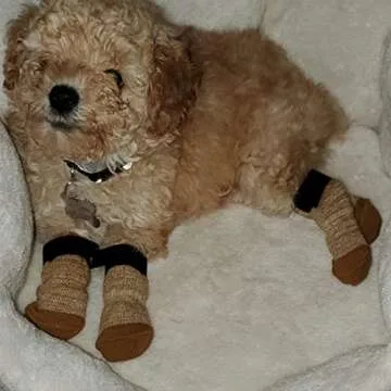 PUPTECK Anti-Slip Dog Socks - Small Dog Paw Protector English Bulldog Socks Dogs Toe Grips Booties for Bunnies Men or Women Indoor Wear Small Medium Dogs