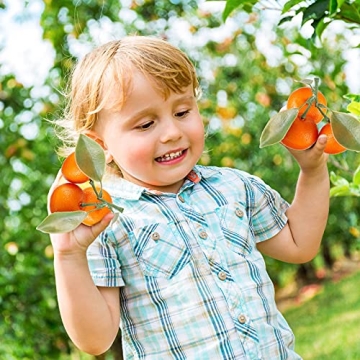 Realistic Artificial Mini Oranges for Home Decor