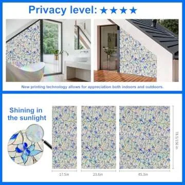 Decorative Window Film for Privacy and Sunlight