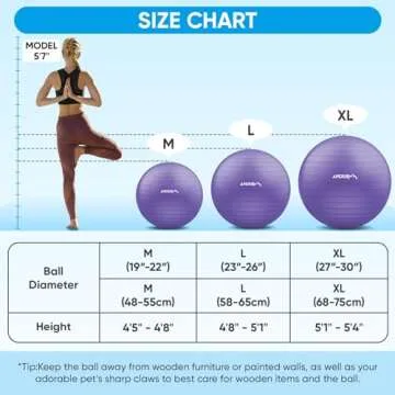 APEXUP Yoga Ball Exercise Ball, Anti Slip Stability Ball Chair, Heavy Duty Large Gym Ball for Fitness, Balance, Core Workout and Physical Therapy (M (19"~22'') 55cm, Purple)