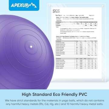 APEXUP Yoga Ball Exercise Ball, Anti Slip Stability Ball Chair, Heavy Duty Large Gym Ball for Fitness, Balance, Core Workout and Physical Therapy (M (19"~22'') 55cm, Purple)
