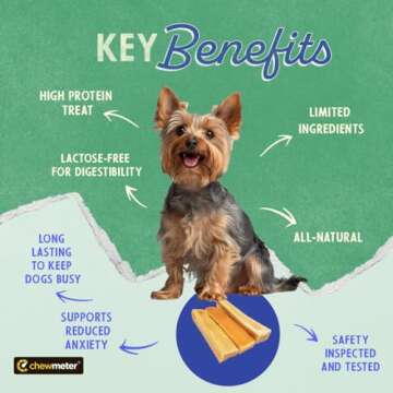 Chewmeter Himalayan Yaky Cheese Chew, 100% Natural, Long Lasting, Gluten Free, Healthy & Safe Dog Tr...