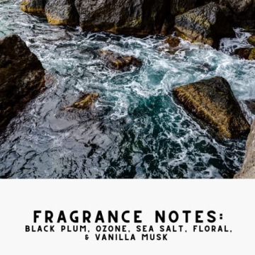 Diamond Life Home Eco-Friendly Carpet Powder for Odor Elimination