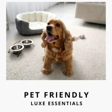 Diamond Life Home Eco-Friendly Carpet Powder for Odor Elimination