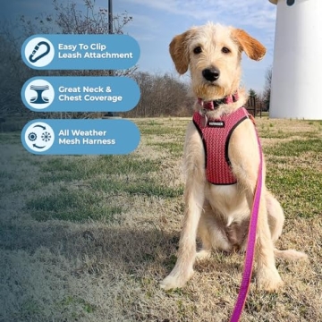 Voyager Step-in Air Dog Harness - Secure & Stylish