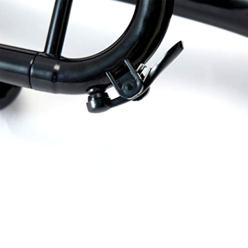 PAMPET Professional C Trumpet - Affordable Plastic Design