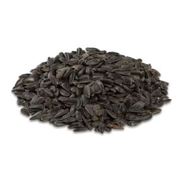 Premium Black Oil Sunflower Seed Bird Food - Audubon Park