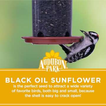 Premium Black Oil Sunflower Seed Bird Food - Audubon Park