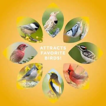 Premium Black Oil Sunflower Seed Bird Food - Audubon Park