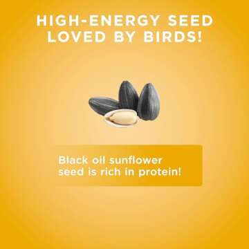 Premium Black Oil Sunflower Seed Bird Food - Audubon Park