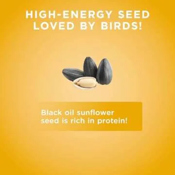 Premium Black Oil Sunflower Seed Bird Food - Audubon Park