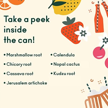 OLIPOP 6-Flavor Healthy Soda Variety Pack